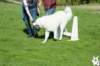 dsc_1806_small.jpg