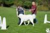 dsc_1807_small.jpg