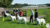 dsc_1809_small.jpg