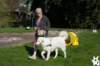 dsc_1813_small.jpg