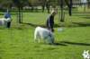 dsc_1814_small.jpg