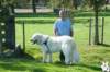 dsc_1815_small.jpg
