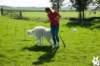 dsc_1818_small.jpg