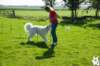 dsc_1819_small.jpg