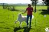 dsc_1820_small.jpg
