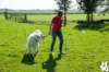 dsc_1821_small.jpg