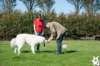 dsc_1828_small.jpg