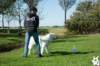 dsc_1834_small.jpg