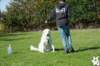 dsc_1836_small.jpg