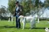 dsc_1845_small.jpg