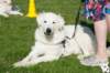 dsc_1850_small.jpg
