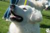 dsc_1851_small.jpg