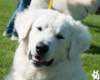 dsc_1852_small.jpg