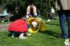 dsc_1857_small.jpg