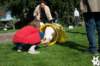 dsc_1858_small.jpg