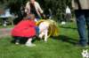 dsc_1859_small.jpg