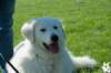 dsc_1861_small.jpg