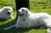 dsc_1862_small.jpg