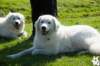 dsc_1863_small.jpg