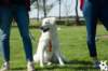 dsc_1866_small.jpg