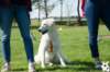 dsc_1867_small.jpg