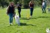 dsc_1868_small.jpg