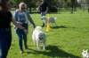 dsc_1869_small.jpg