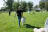 dsc_1870_small.jpg