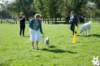 dsc_1871_small.jpg