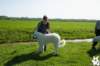 dsc_1872_small.jpg