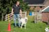 dsc_1873_small.jpg