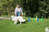 dsc_1874_small.jpg