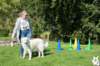 dsc_1875_small.jpg