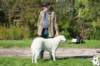 dsc_1876_small.jpg