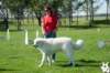 dsc_1877_small.jpg