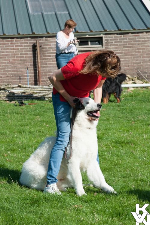 dsc_1880.jpg