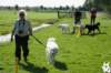 dsc_1884_small.jpg