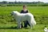 dsc_1886_small.jpg