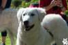 dsc_1889_small.jpg