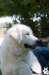 dsc_1890_small.jpg