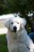 dsc_1891_small.jpg