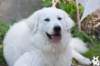 dsc_1892_small.jpg