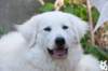 dsc_1893_small.jpg
