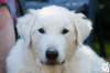 dsc_1895_small.jpg