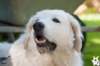 dsc_1896_small.jpg