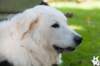 dsc_1898_small.jpg