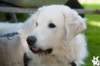 dsc_1899_small.jpg