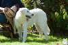dsc_1906_small.jpg
