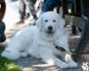 dsc_1910_small.jpg