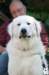 dsc_1912_small.jpg